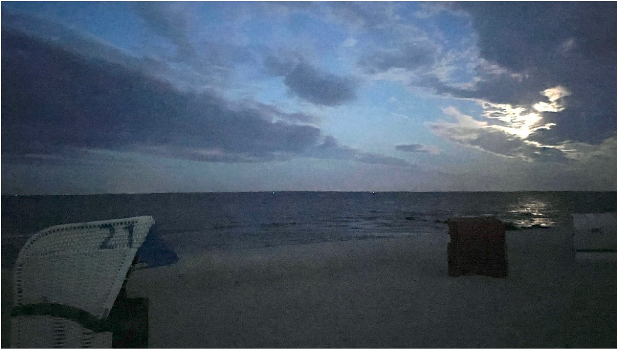 Strand Norbert Illes