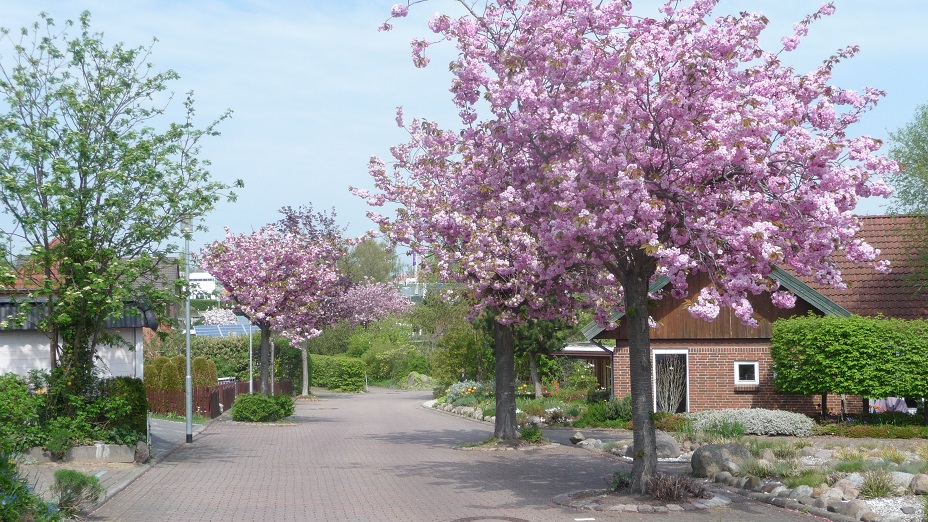 Neustadt in Holstein