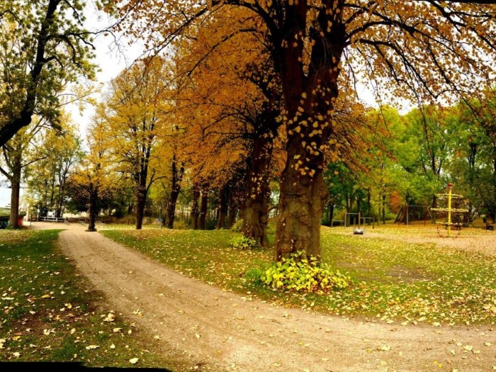 Neustadt in Holstein