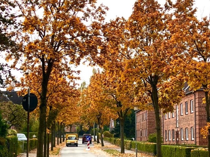 Neustadt in Holstein