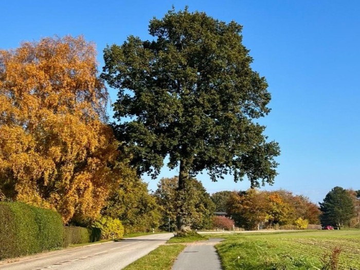 Neustadt in Holstein